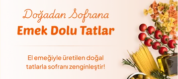 elemegi.com categories