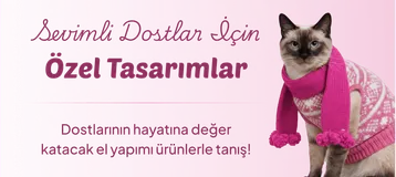 elemegi.com categories